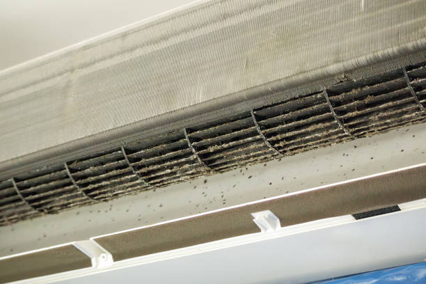 Best Ductwork Odor Removal in USA